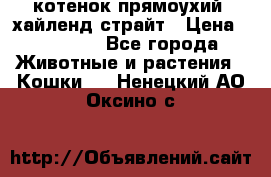 котенок прямоухий  хайленд страйт › Цена ­ 10 000 - Все города Животные и растения » Кошки   . Ненецкий АО,Оксино с.